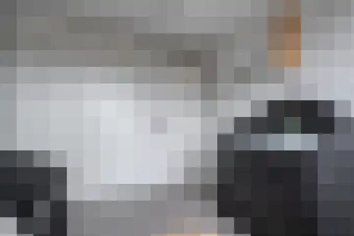 Beukenlaan 17 Balkbrug thumbnail 28