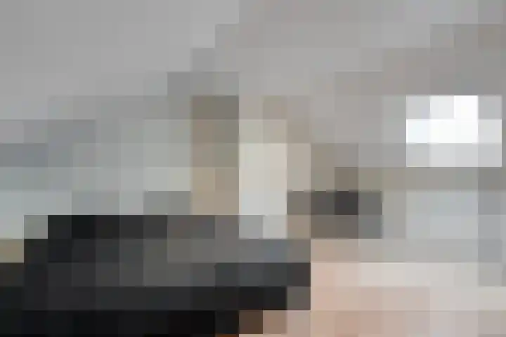 Beukenlaan 17 Balkbrug thumbnail 36