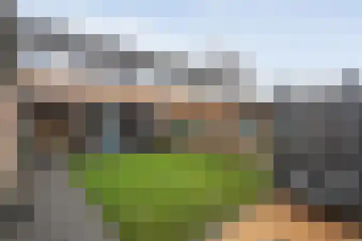 Beukenlaan 17 Balkbrug thumbnail 41