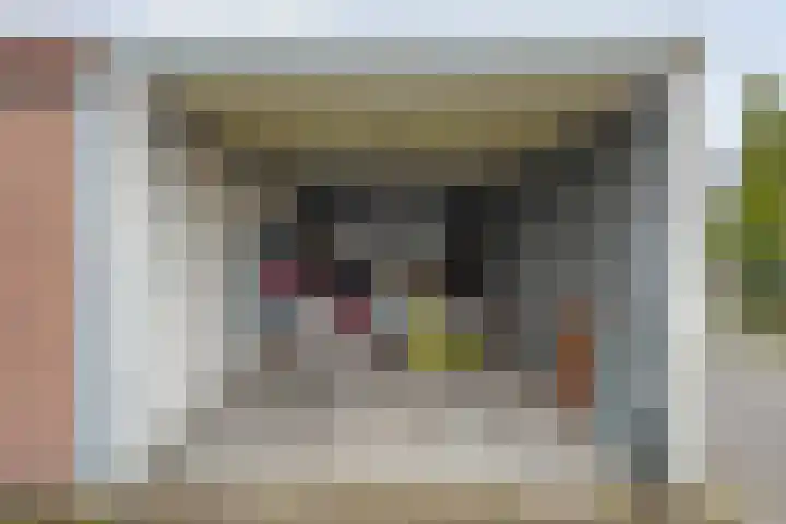 Beukenlaan 17 Balkbrug thumbnail 46