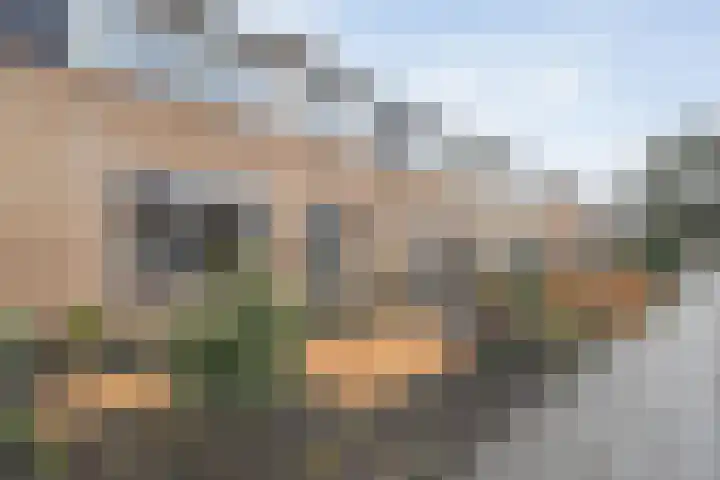 Beukenlaan 17 Balkbrug thumbnail 49