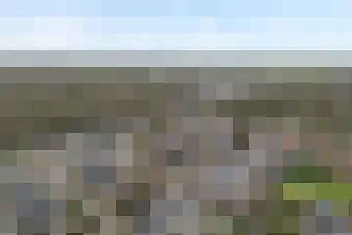 Beukenlaan 17 Balkbrug thumbnail 52