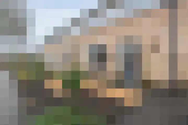 Beukenlaan 17 Balkbrug thumbnail 6