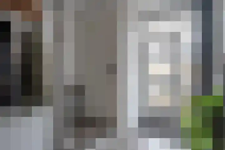 Beukenlaan 17 Balkbrug thumbnail 8