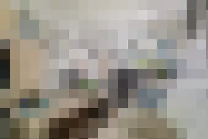 Beukenlaan 17 Glimmen thumbnail 10