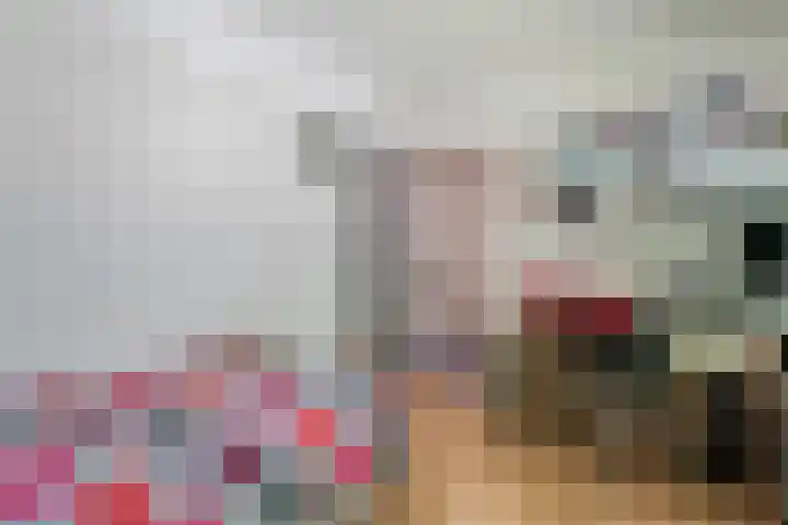 Beukenlaan 17 Glimmen thumbnail 23