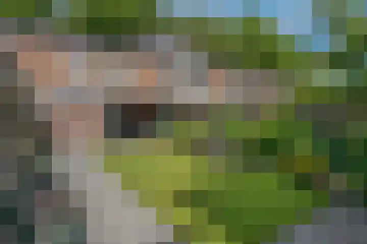 Beukenlaan 17 Glimmen thumbnail 26