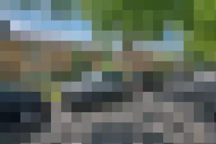 Beukenlaan 17 Glimmen thumbnail 32