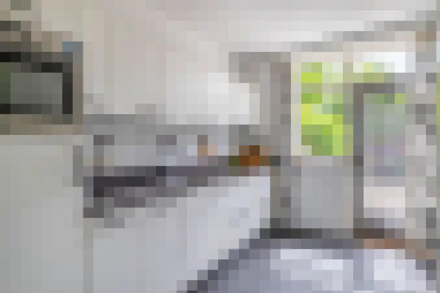 Beukenlaan 17 Nuenen thumbnail 17