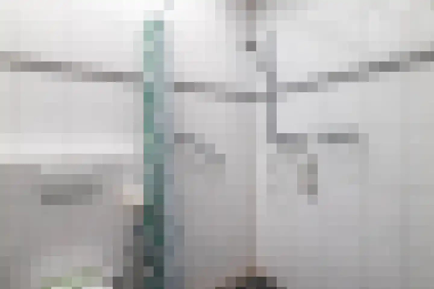 Beukenlaan 17 Nuenen thumbnail 20