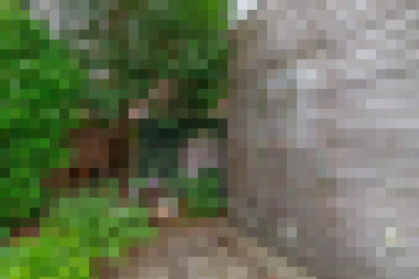 Beukenlaan 17 Nuenen thumbnail 42