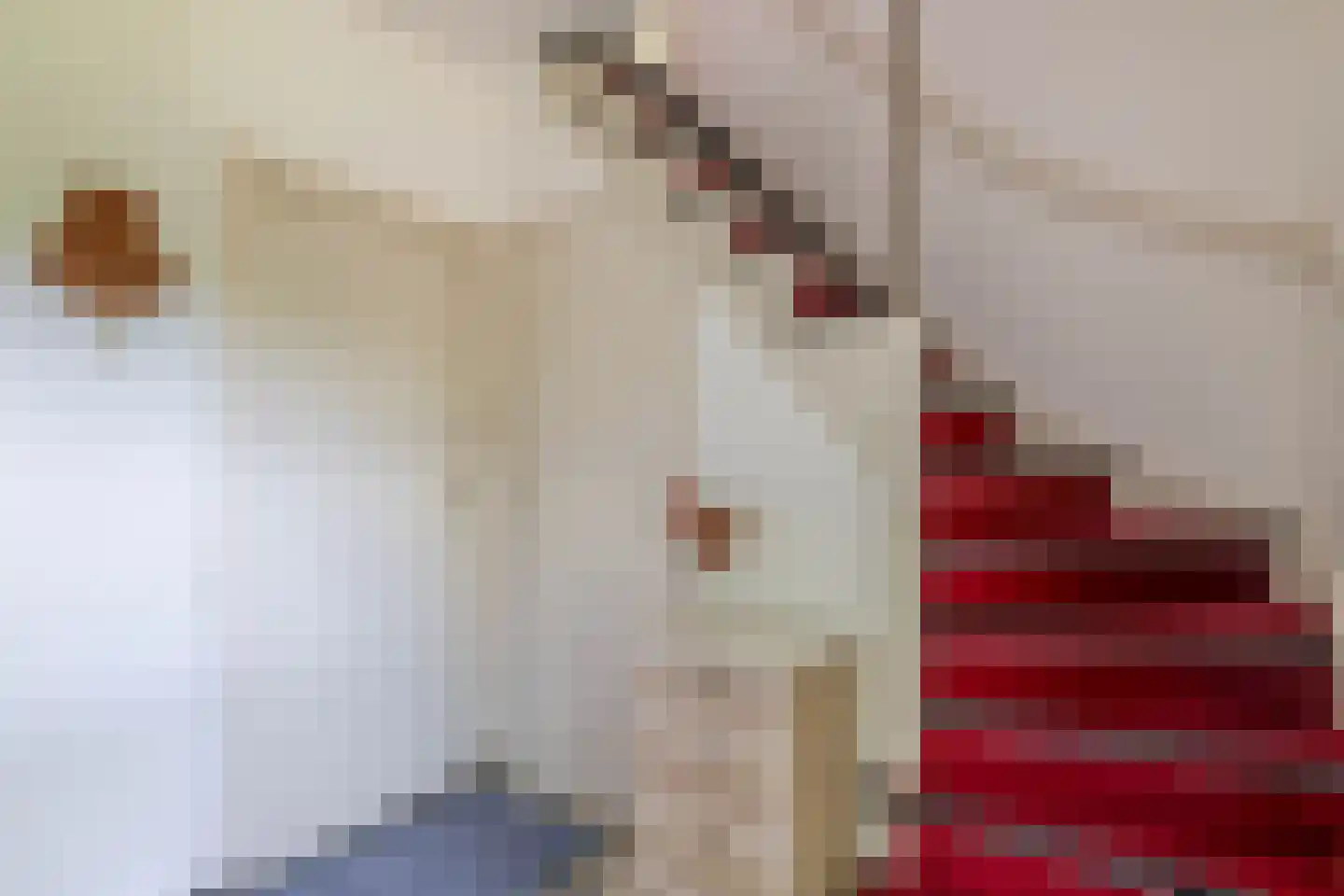 Beukenlaan 17 Nuenen thumbnail 8