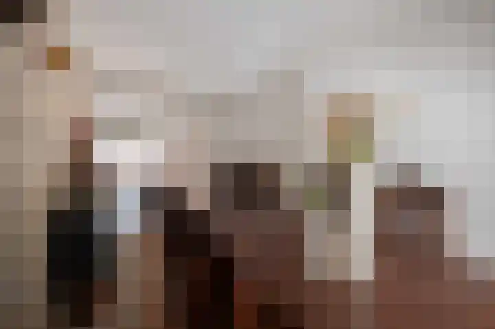 Beukenlaan 17 Oudenbosch thumbnail 10