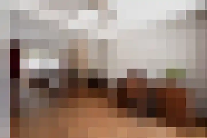 Beukenlaan 17 Oudenbosch thumbnail 12