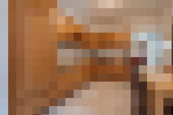 Beukenlaan 17 Oudenbosch thumbnail 16