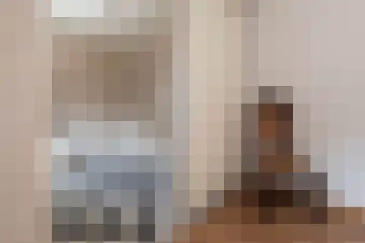 Beukenlaan 17 Oudenbosch thumbnail 22