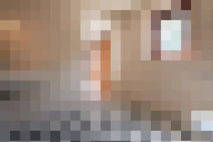 Beukenlaan 17 Oudenbosch thumbnail 24