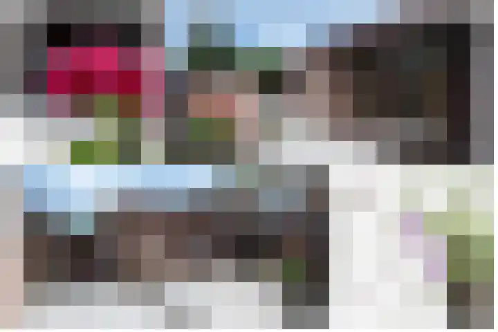 Beukenlaan 17 Oudenbosch thumbnail 25