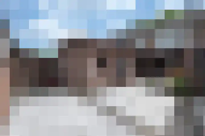 Beukenlaan 17 Oudenbosch thumbnail 26