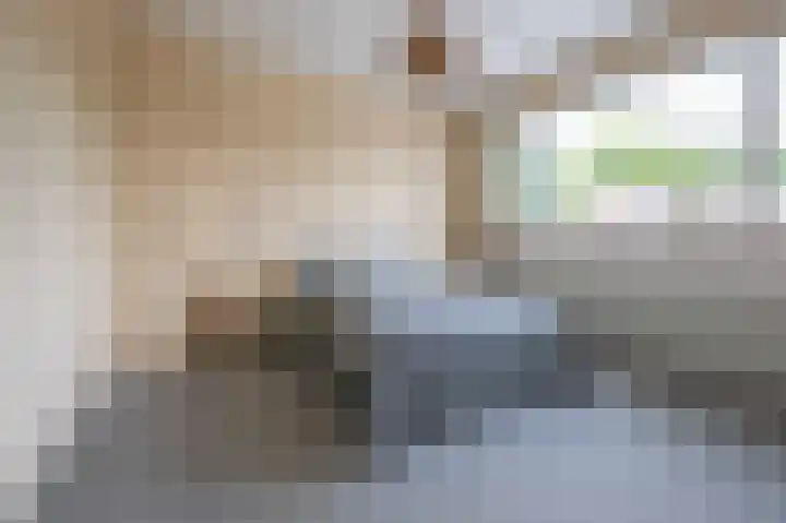 Beukenlaan 17 Oudenbosch thumbnail 34
