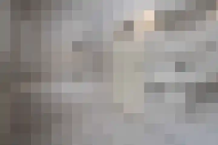 Beukenlaan 17 Oudenbosch thumbnail 39