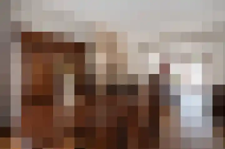 Beukenlaan 17 Oudenbosch thumbnail 8