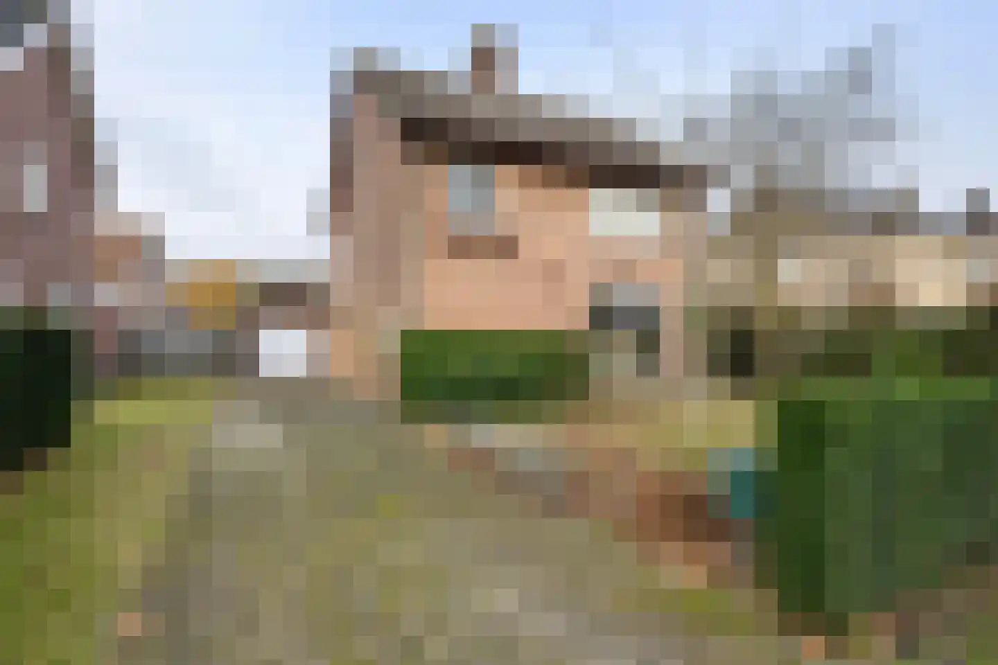 Beukenlaan 17 Sterksel