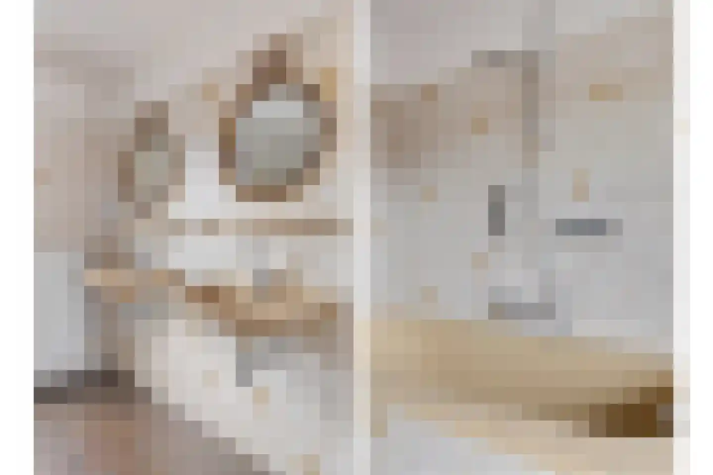 Beukenlaan 17 Sterksel thumbnail 23