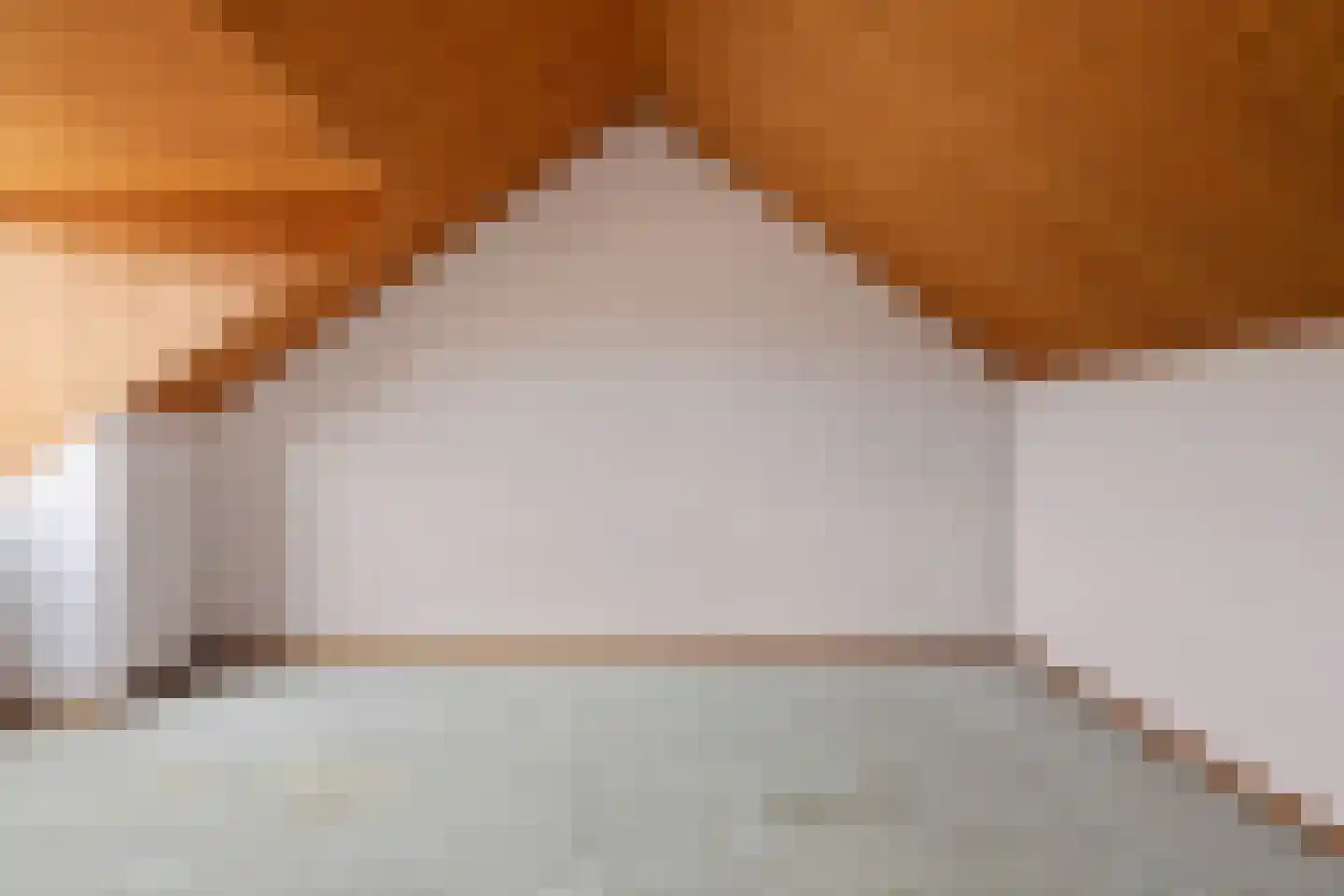 Beukenlaan 17 Sterksel thumbnail 25