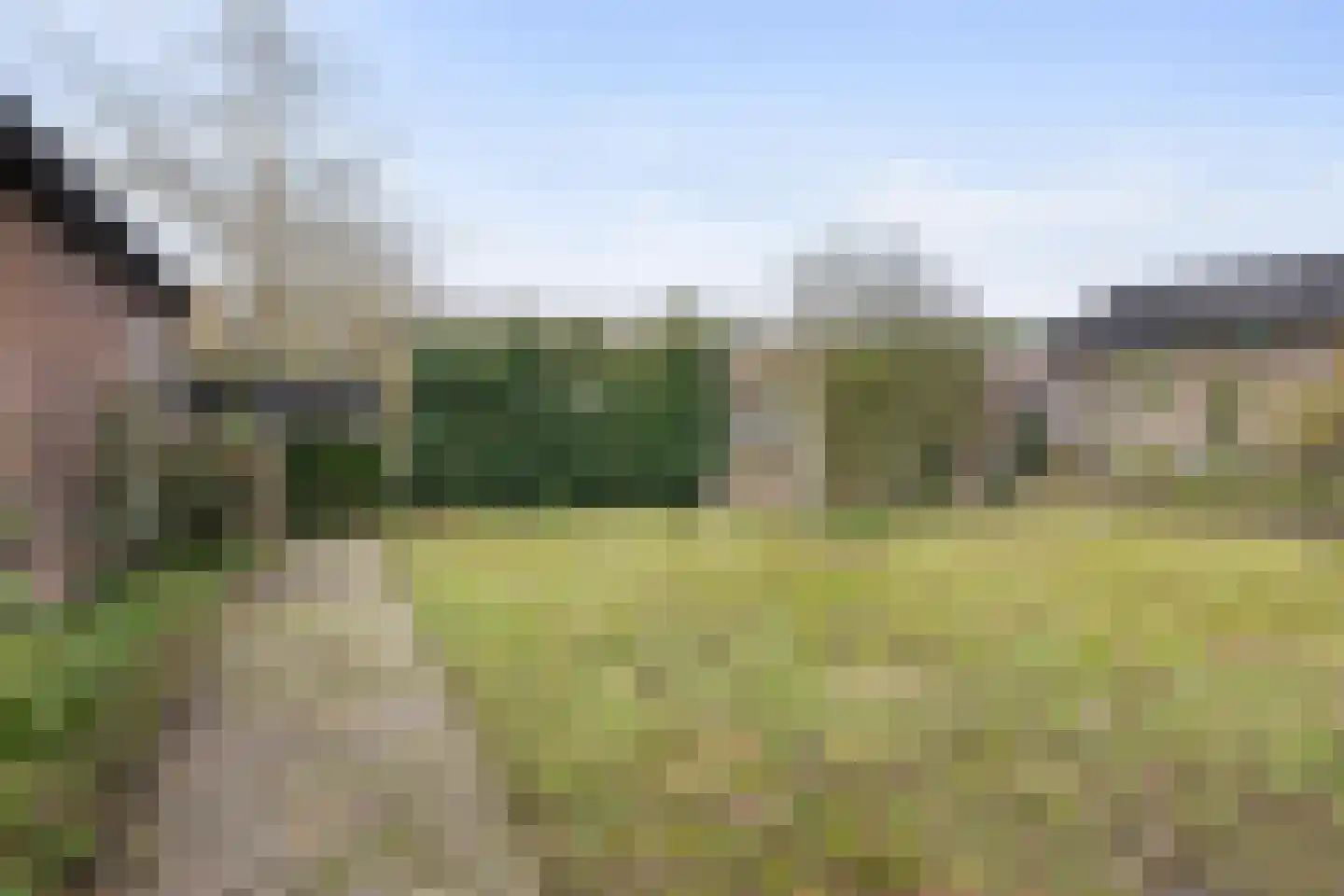 Beukenlaan 17 Sterksel thumbnail 30
