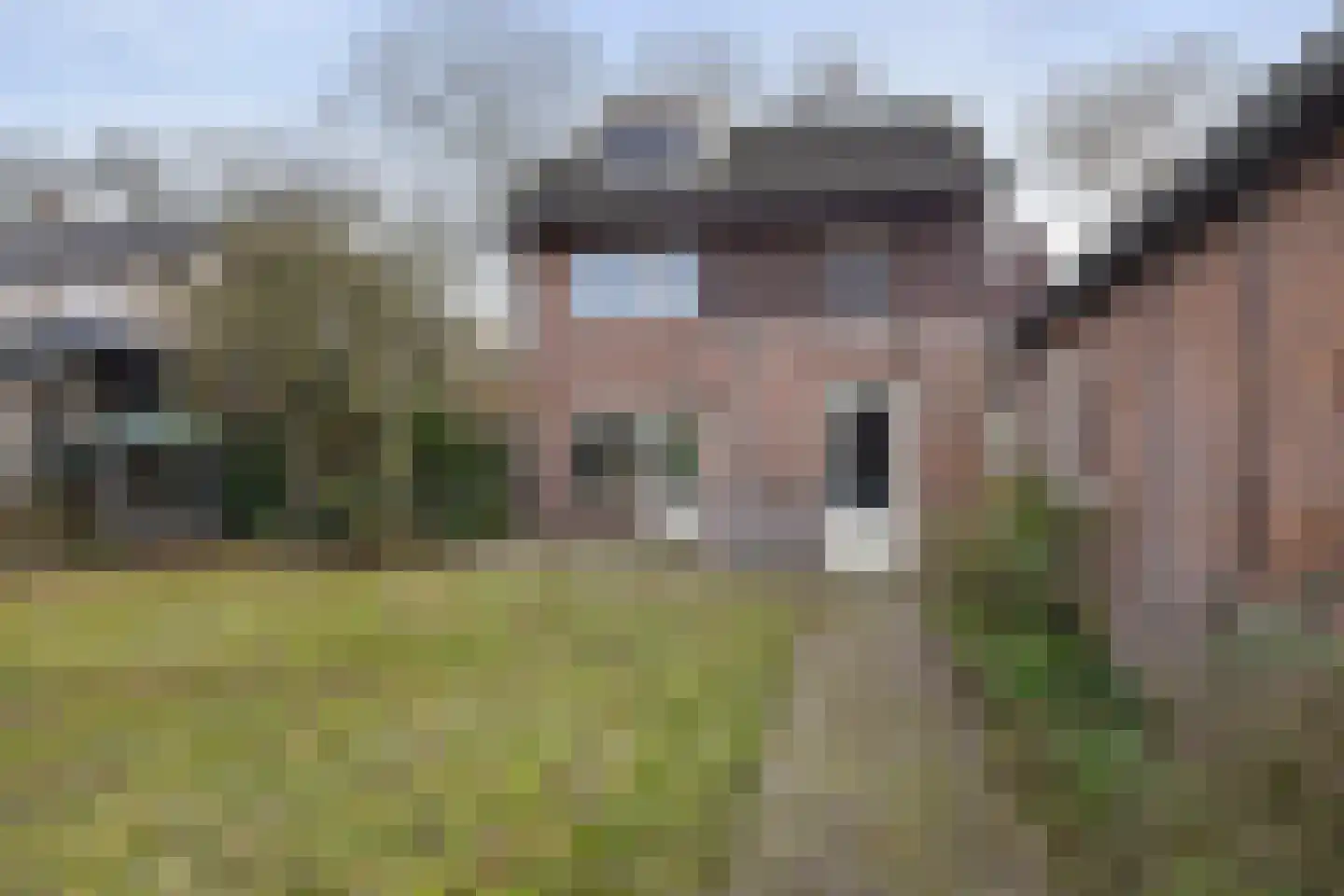 Beukenlaan 17 Sterksel thumbnail 31