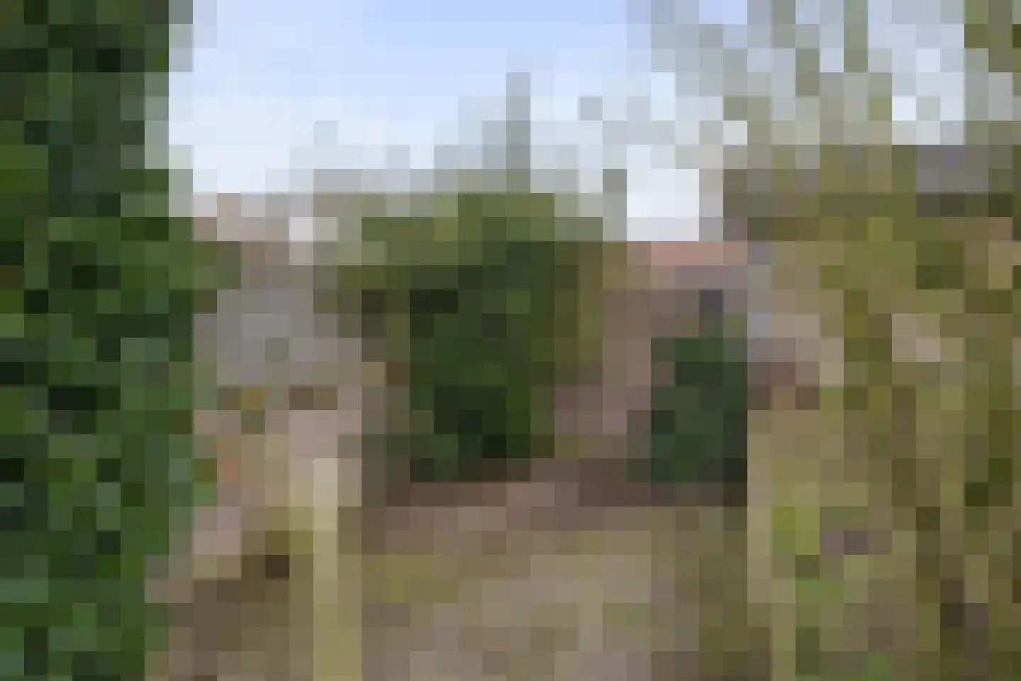 Beukenlaan 17 Sterksel thumbnail 32