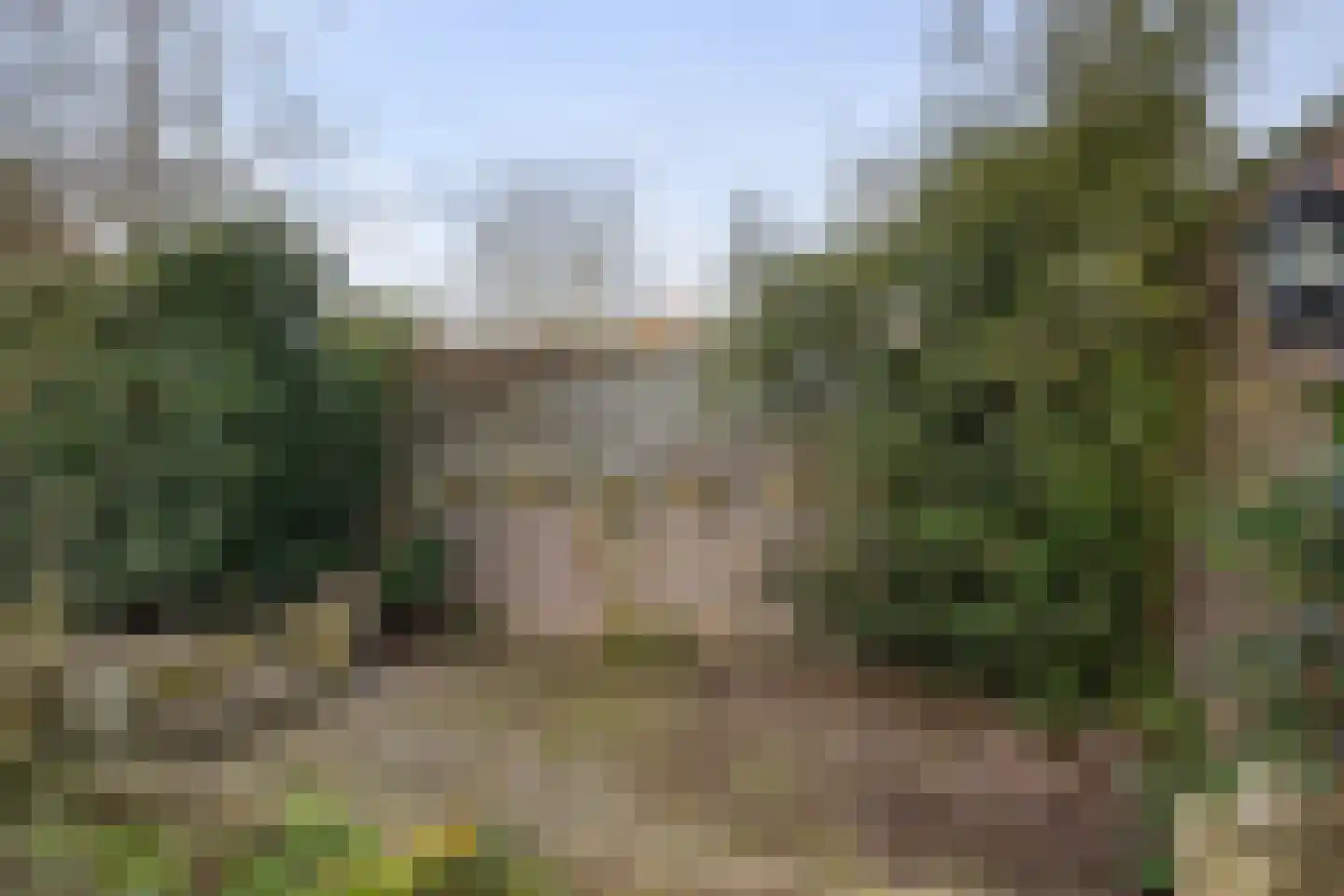 Beukenlaan 17 Sterksel thumbnail 33