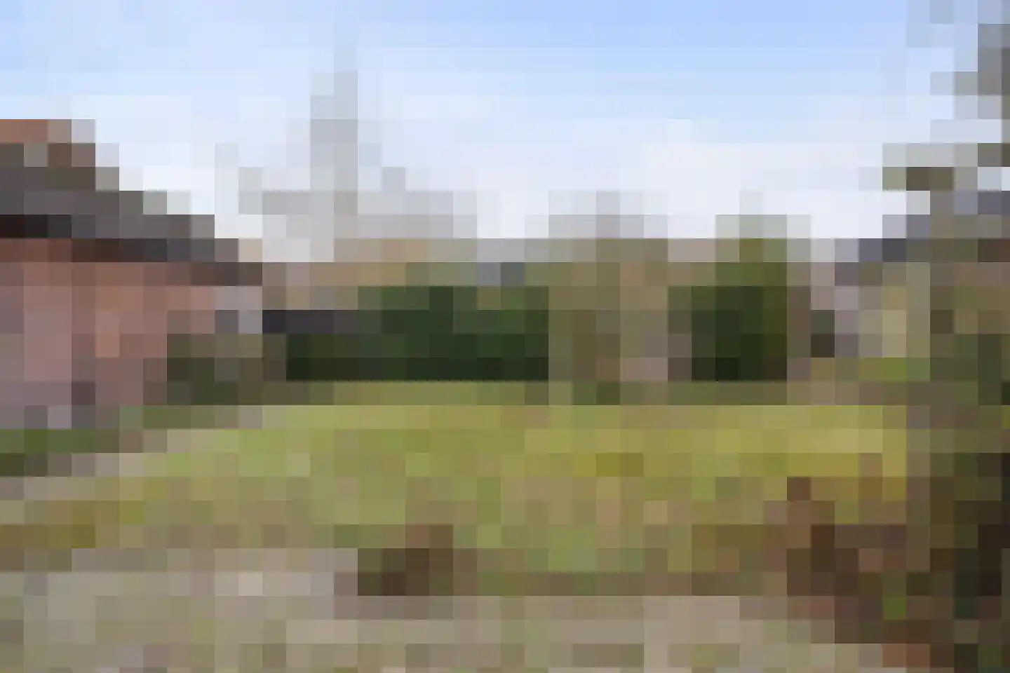 Beukenlaan 17 Sterksel thumbnail 35