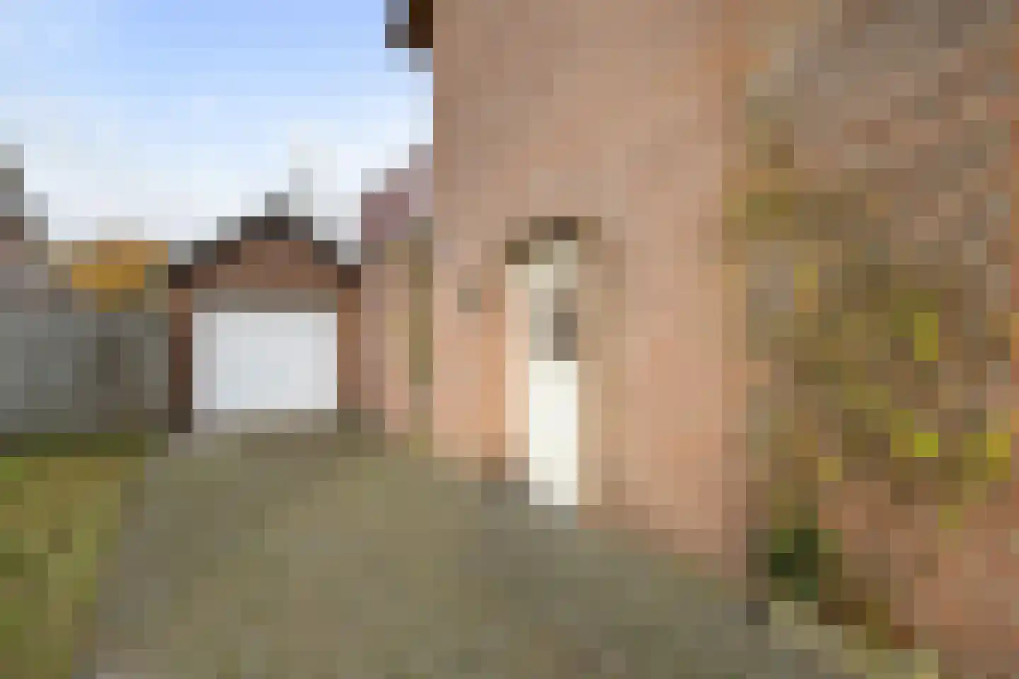 Beukenlaan 17 Sterksel thumbnail 4