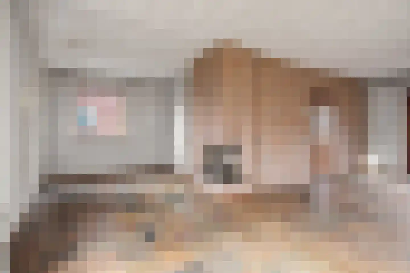 Beukenlaan 17 Sterksel thumbnail 8