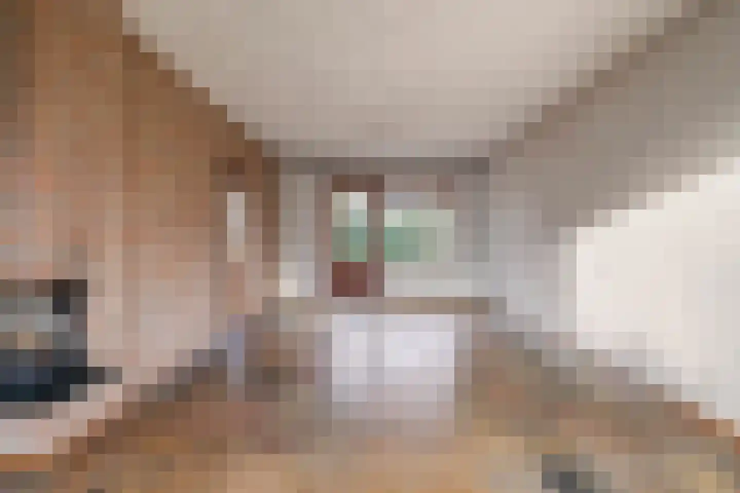 Beukenlaan 17 Sterksel thumbnail 9