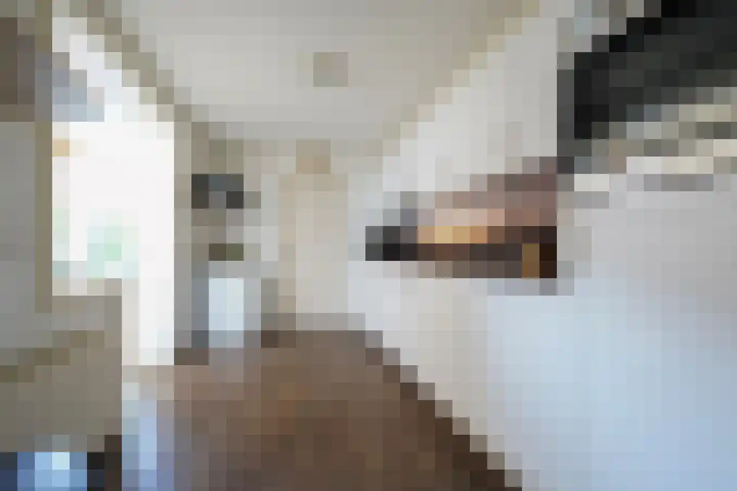 Beukenlaan 18 Garderen thumbnail 14