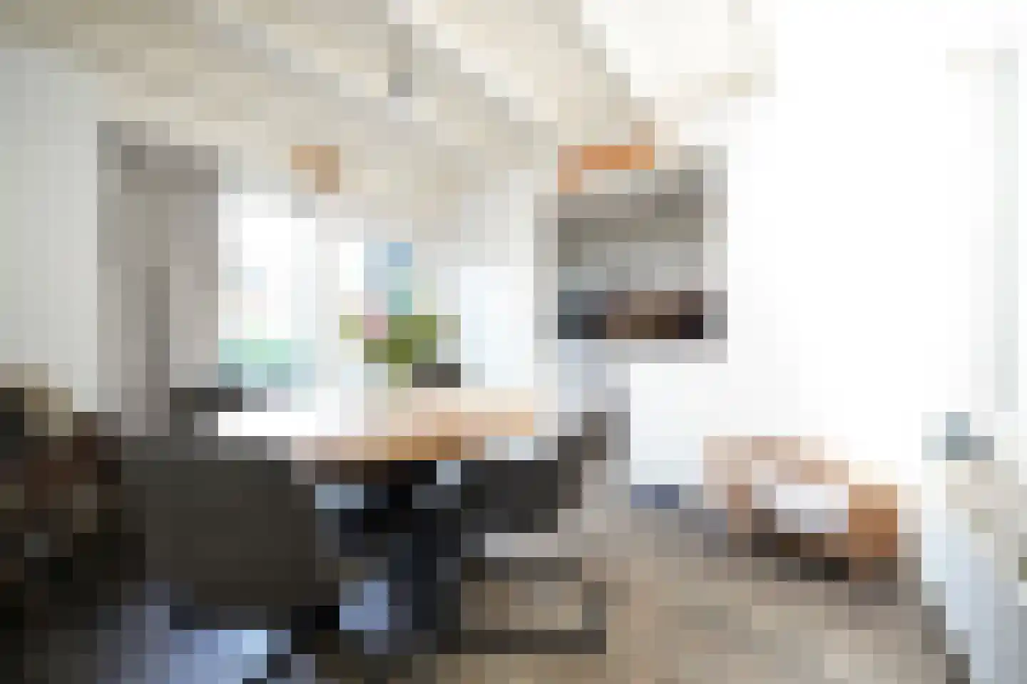 Beukenlaan 18 Garderen thumbnail 19