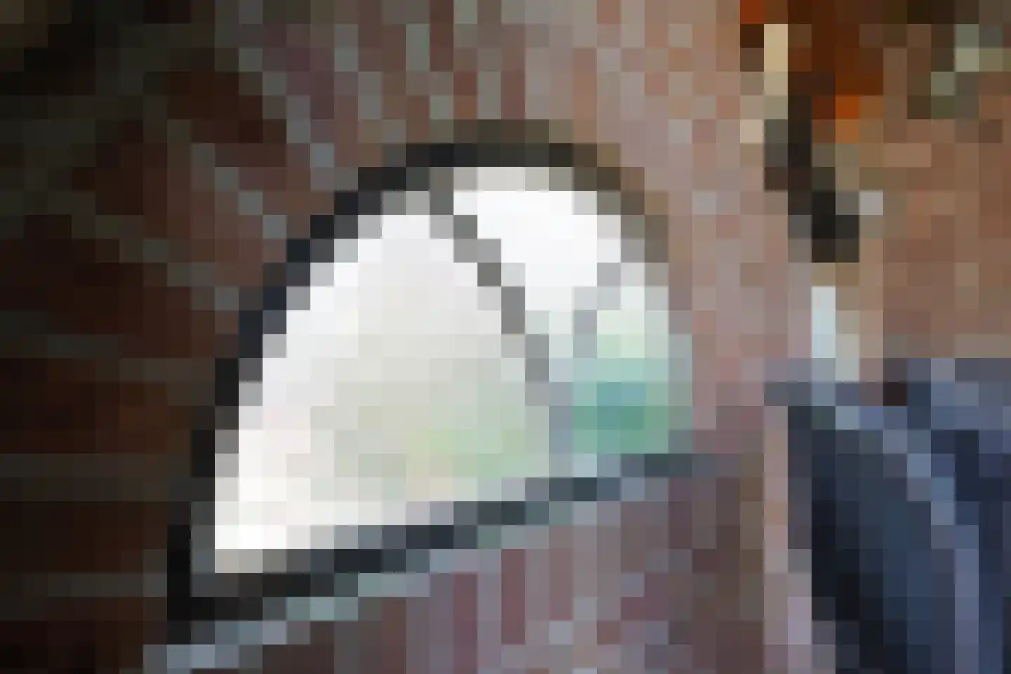 Beukenlaan 18 Garderen thumbnail 24