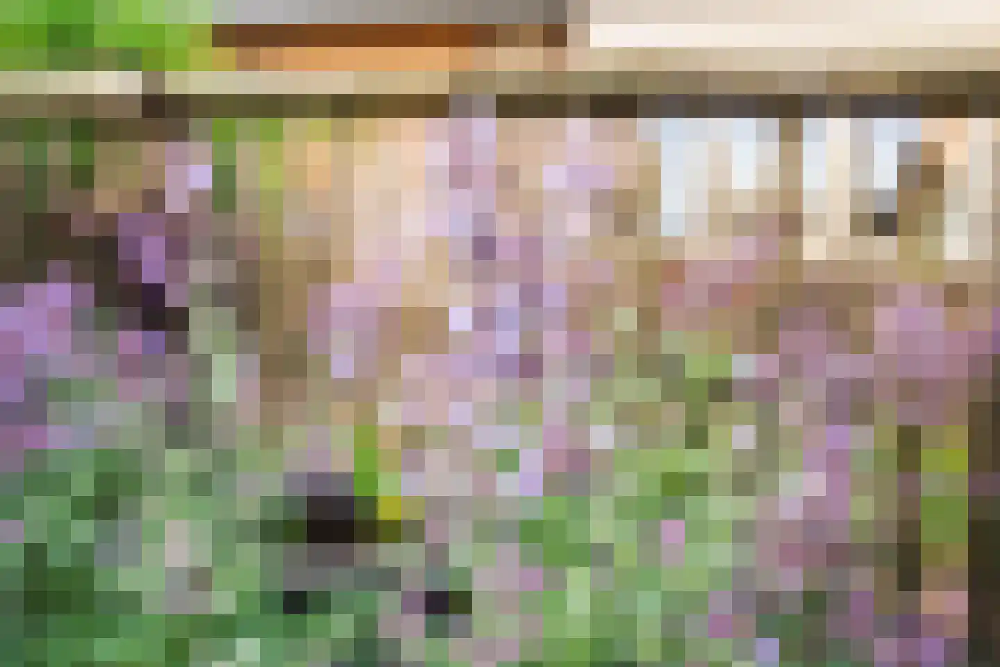 Beukenlaan 18 Garderen thumbnail 26
