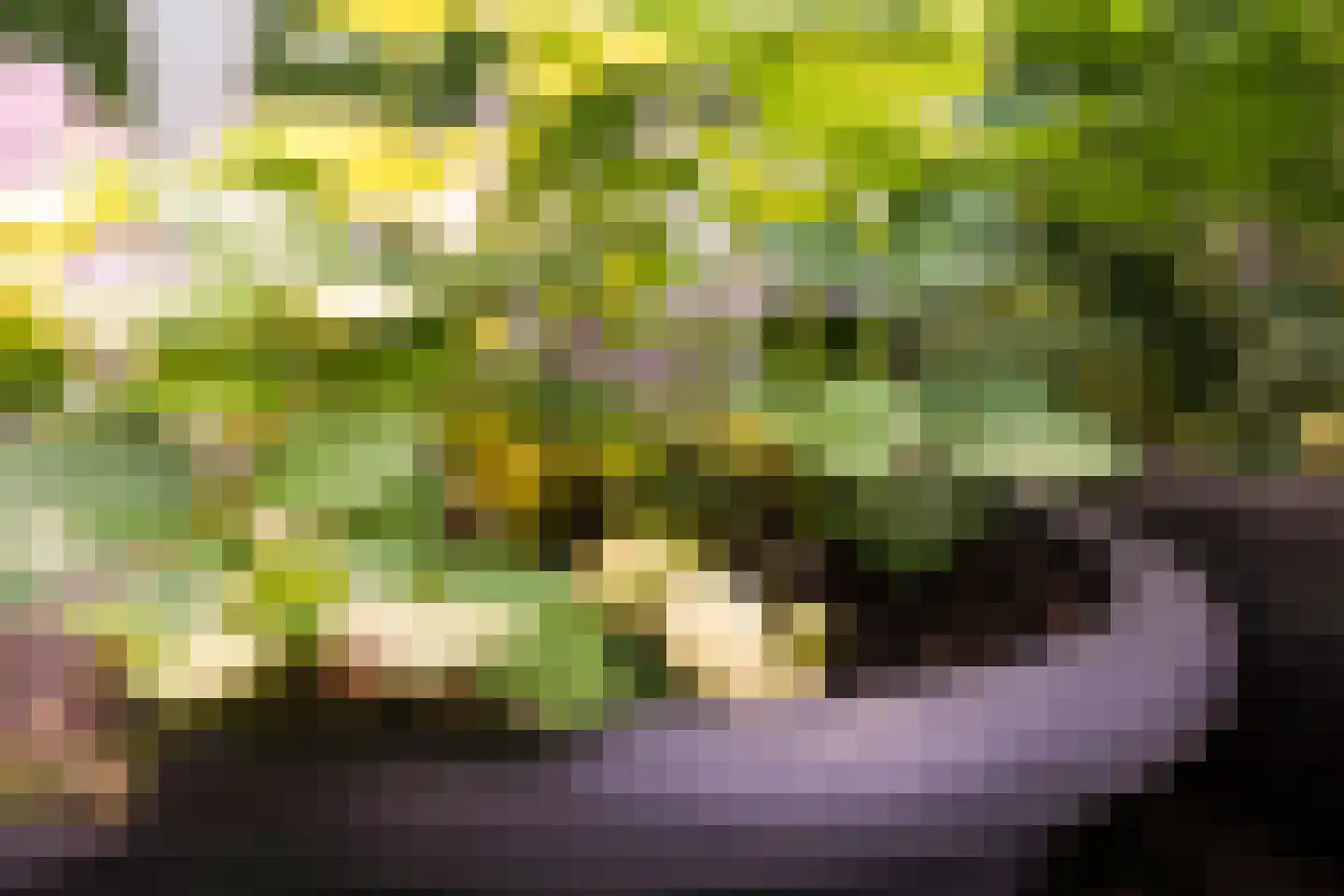 Beukenlaan 18 Garderen thumbnail 28