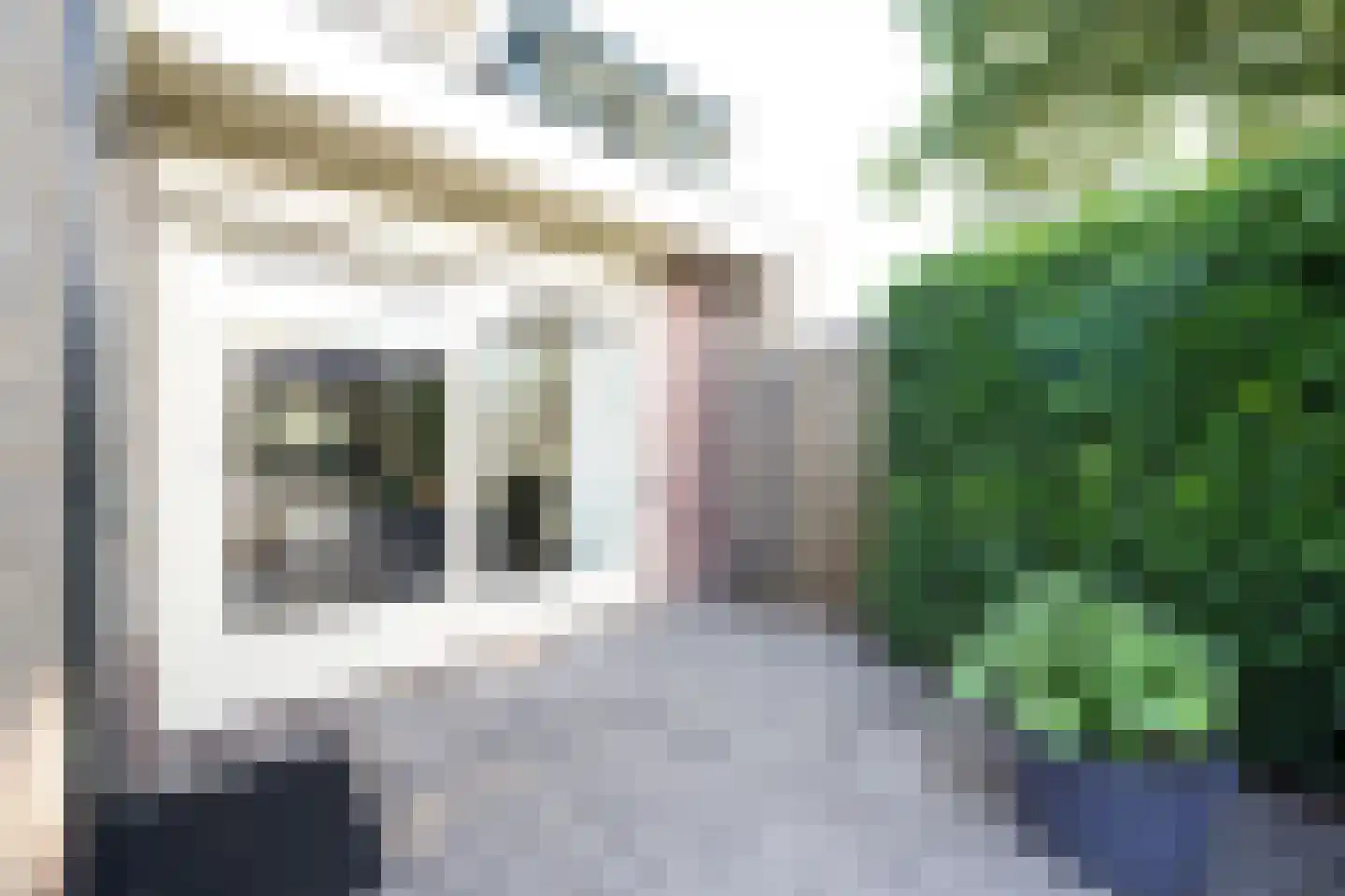Beukenlaan 18 Garderen thumbnail 29