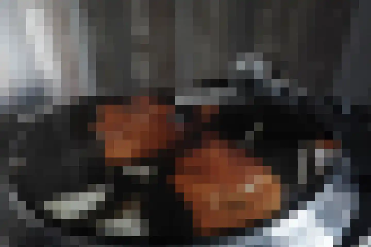 Beukenlaan 18 Garderen thumbnail 34