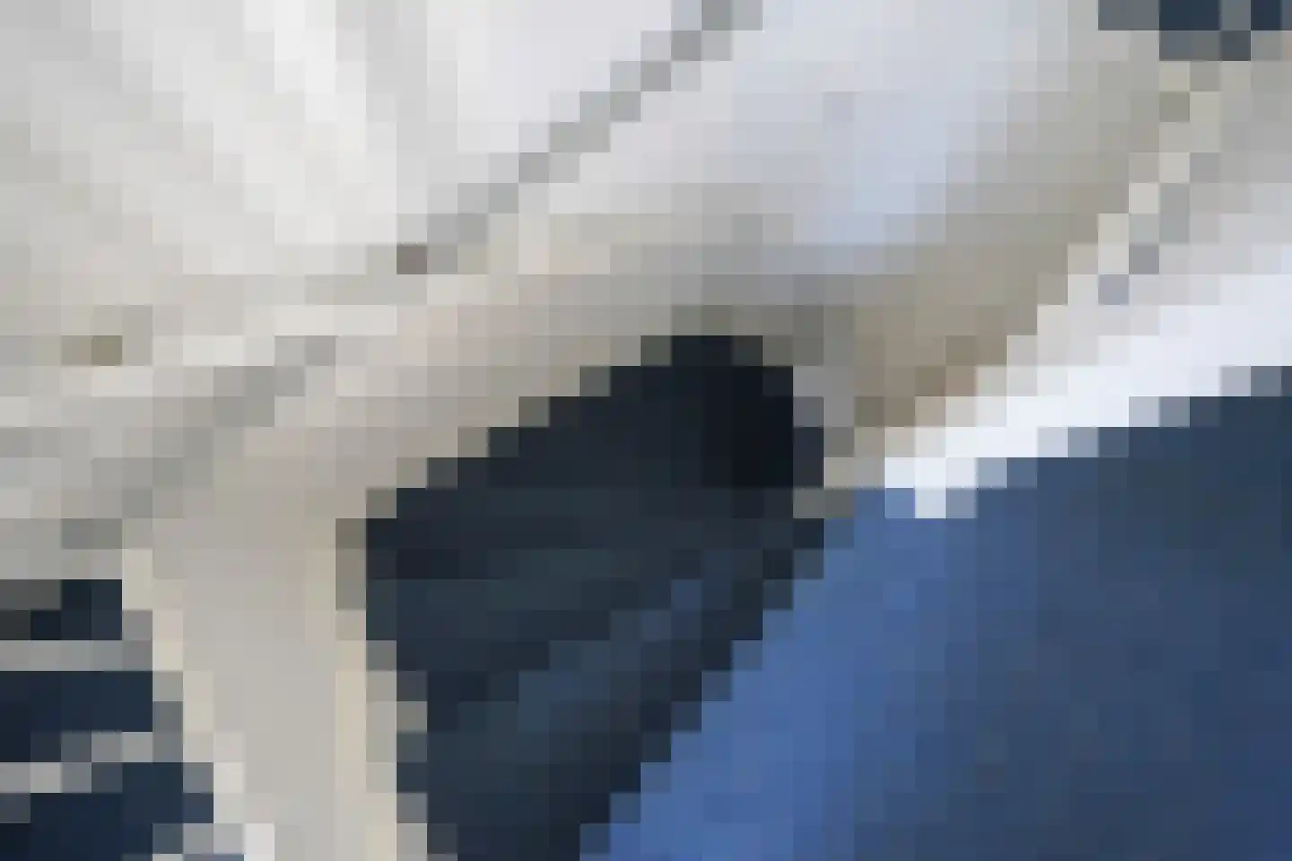 Beukenlaan 18 Garderen thumbnail 41