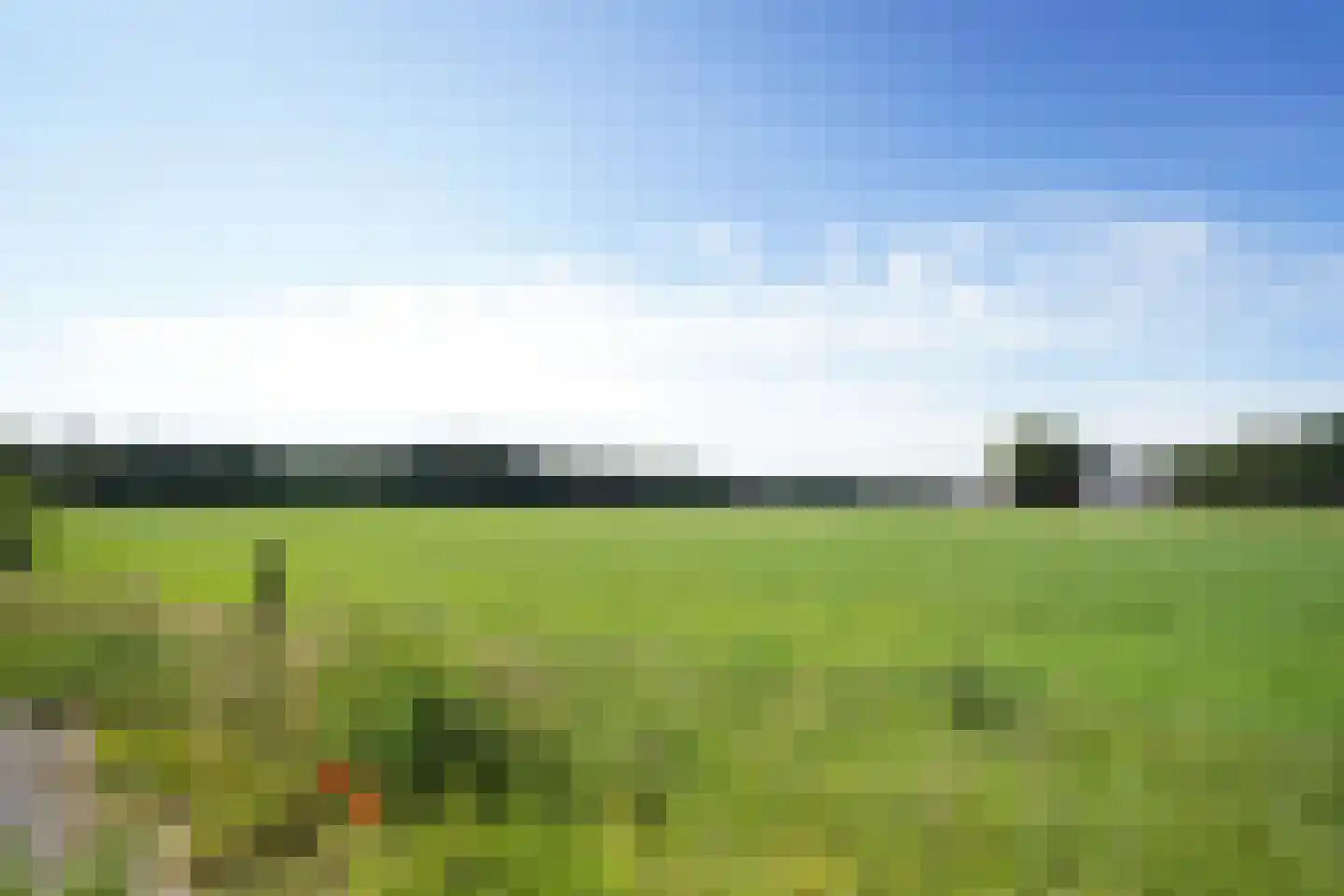 Beukenlaan 18 Garderen thumbnail 46