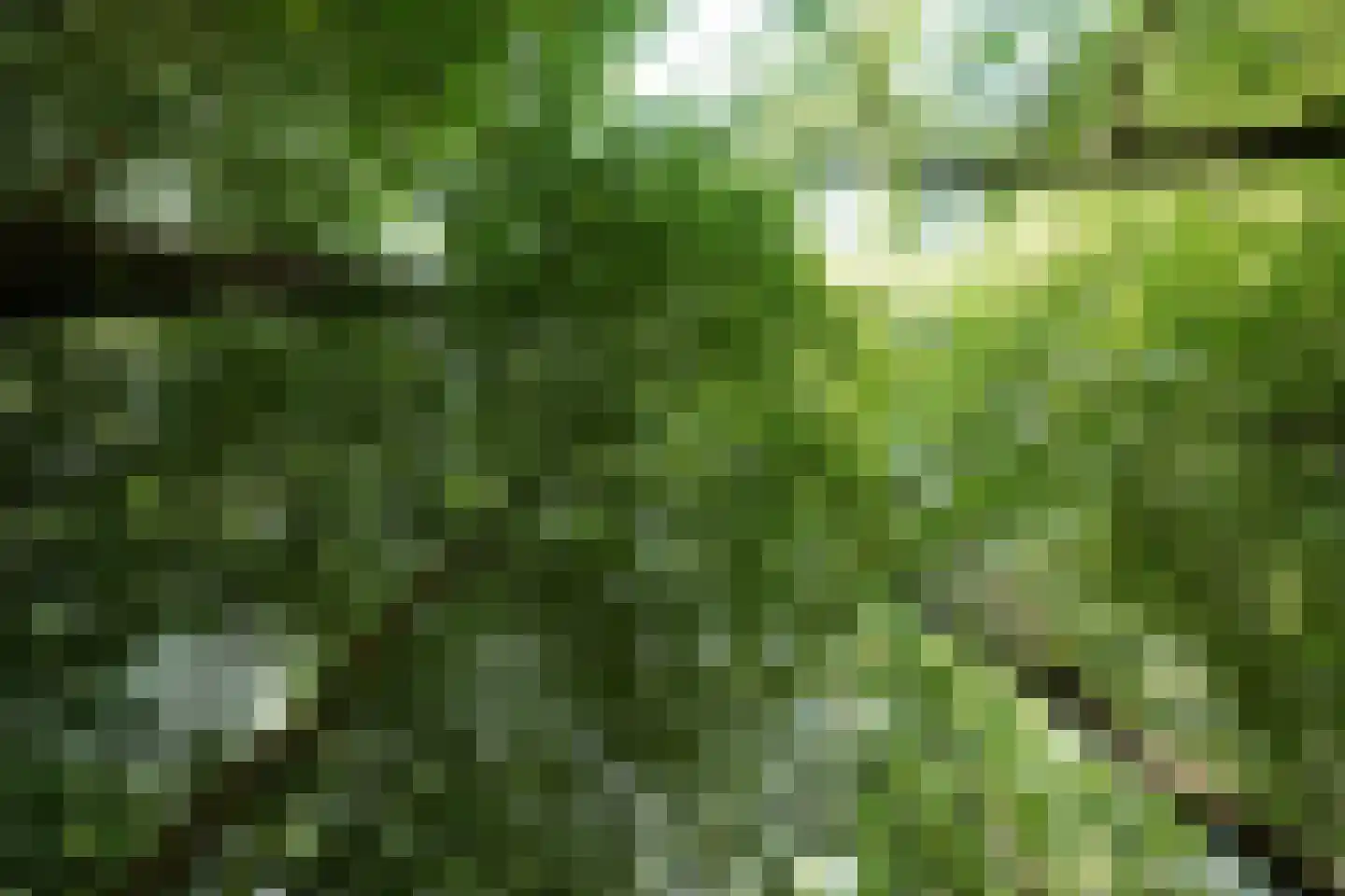 Beukenlaan 18 Garderen thumbnail 49