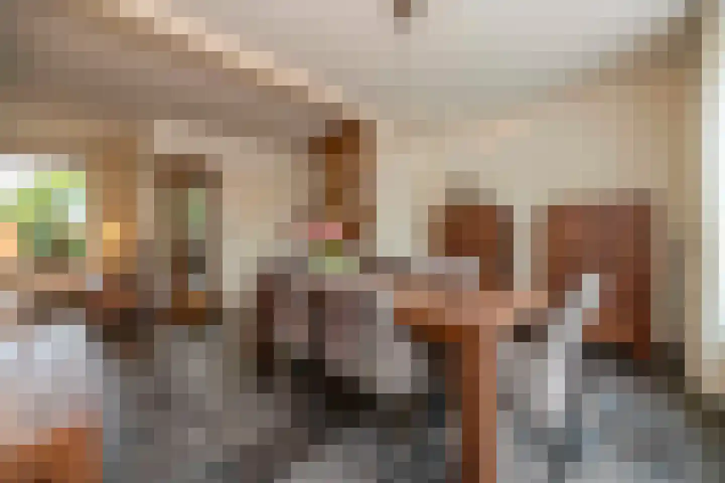 Beukenlaan 18 Haaren thumbnail 12
