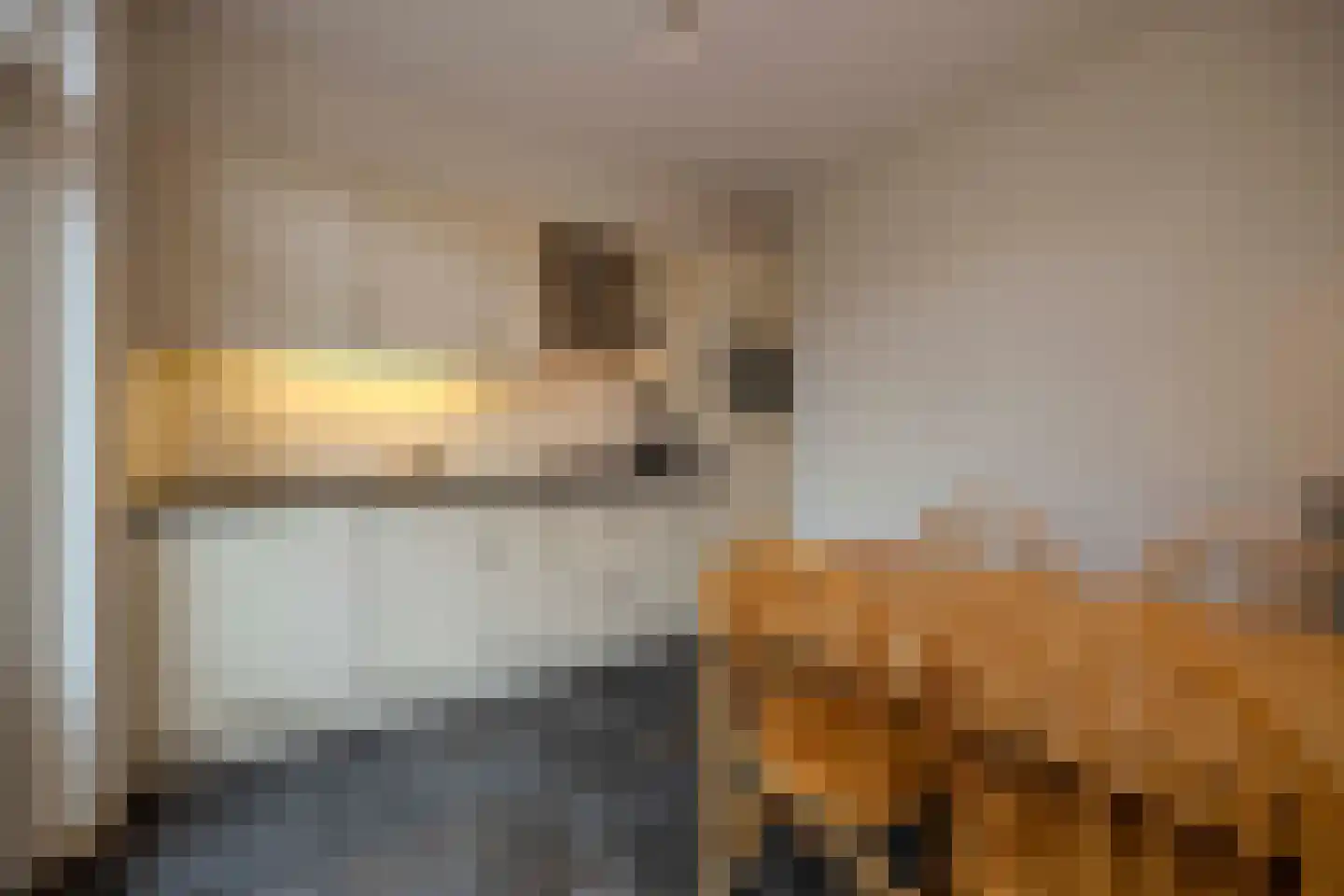 Beukenlaan 18 Haaren thumbnail 13