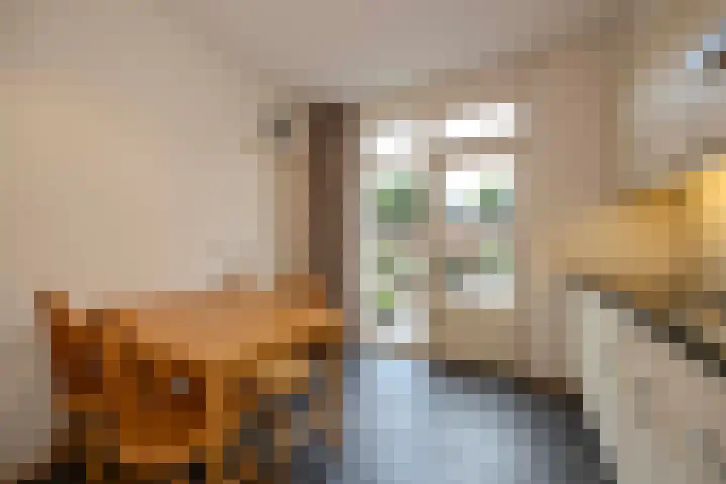 Beukenlaan 18 Haaren thumbnail 15
